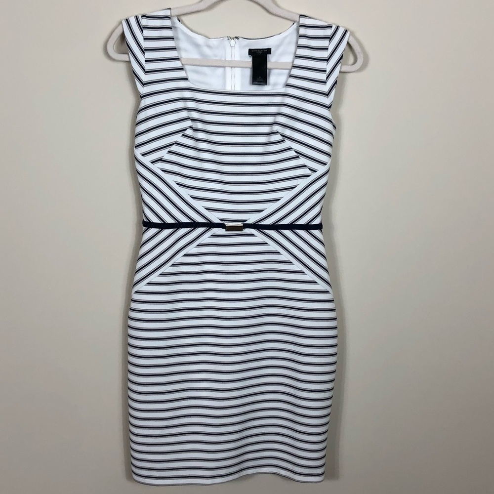 Ann Taylor | Petite Work Dress‎